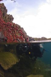 Mark in the shallows. Capernwray.
D200, 16mm. by Derek Haslam 